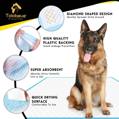 Dog Training Pads, XXL, 30 in X 36 In, 60 Count Disposable Dog Puppy Pee Pads