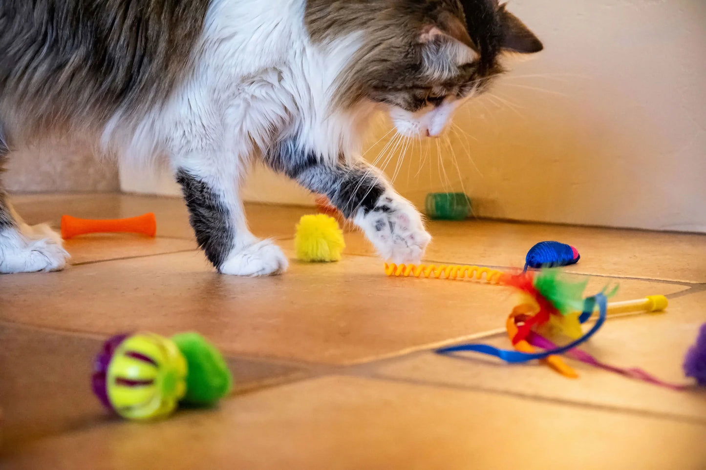 Ultimate 24-Piece Cat Toy Collection for Unmatched Feline Entertainment!