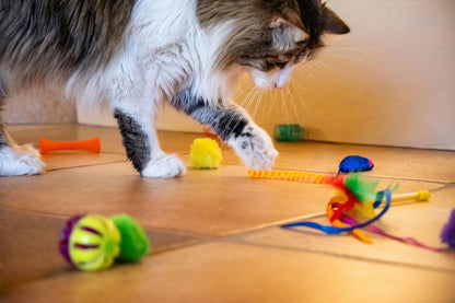 Ultimate 24-Piece Cat Toy Collection for Unmatched Feline Entertainment!
