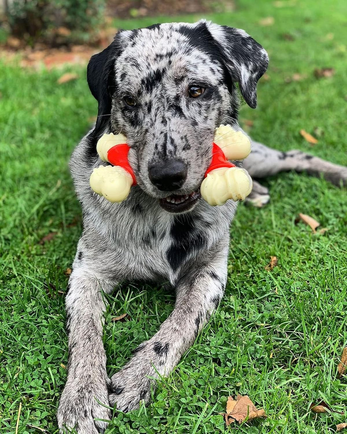 Double Bone Power Chew Toy for Aggressive Chewers - Bacon Flavor, X-Large (50+ lbs)