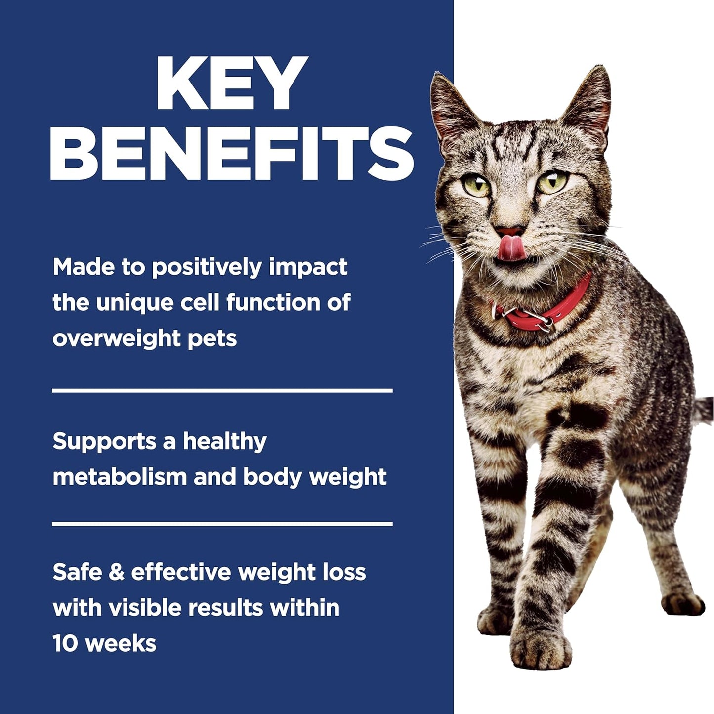 Perfect Weight, Adult 1-6, Weight Management Support, Dry Cat Food, Chicken Recipe, 3 Lb Bag