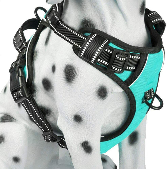 Reflective No-Pull Dog Harness - Adjustable Soft Padded Vest with Front and Back Leash Attachments and Control Handle for Small to Large Dogs (Mint Blue, Medium)
