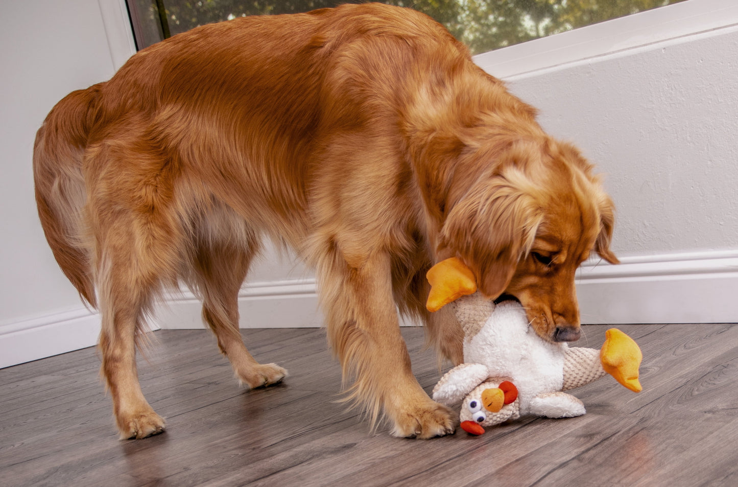 Checkers Fat Rooster Squeaky Plush Dog Toy, Chew Guard Technology - White Large