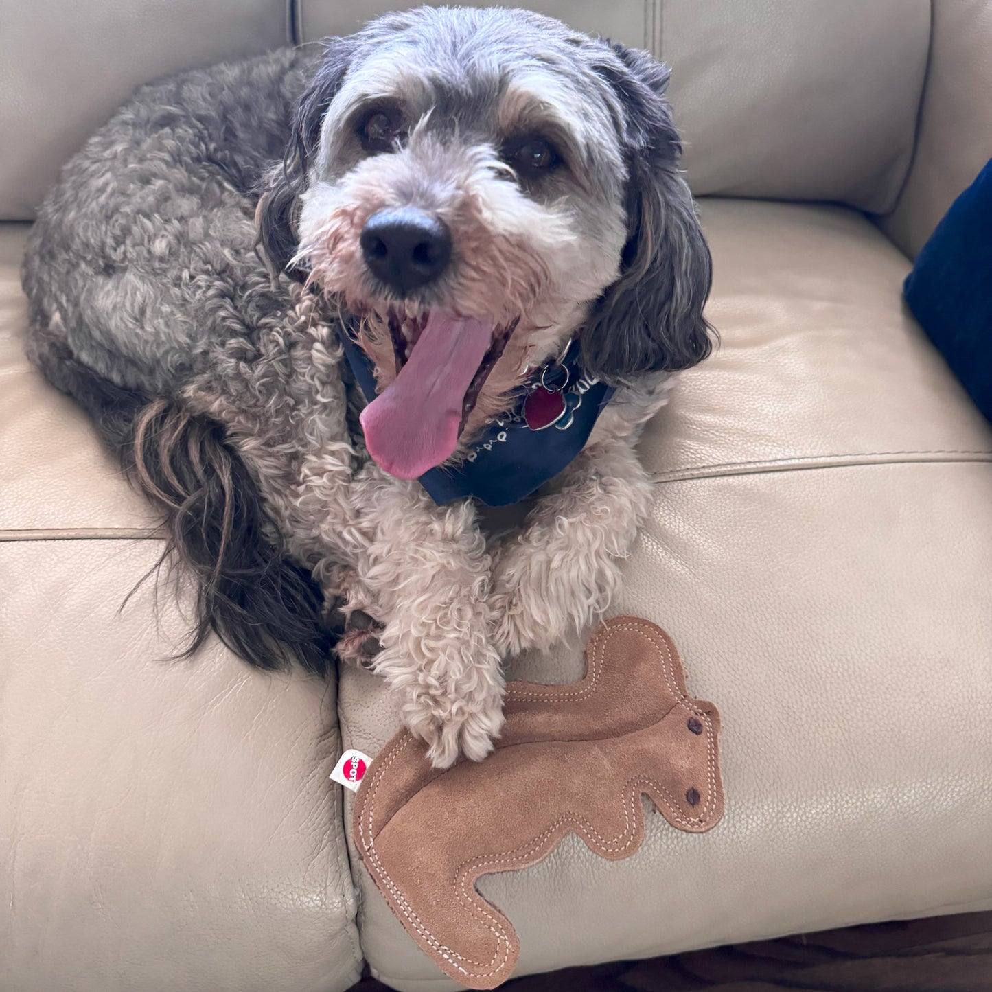 Dura-Fused Squirrel Dog Toy - Durable Leather & Jute Fabric for Small to Medium Chewers, Interactive Fun with Built-in Squeaker