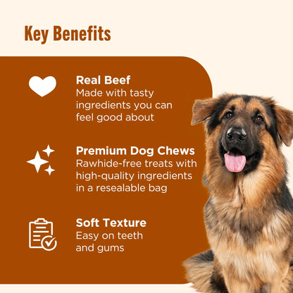 Rachael Ray Premium Soup Bones Dog Chews with Real Beef & Barley - 11 Delicious Treats!