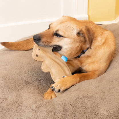 Dura-Fused Squirrel Dog Toy - Durable Leather & Jute Fabric for Small to Medium Chewers, Interactive Fun with Built-in Squeaker