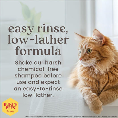 Hypoallergenic Cat Shampoo with Shea Butter and Honey, Gentle Kitten Shampoo for Indoor Cats with Dry or Sensitive Skin, Cat Bathing Supplies, 10 Fl Oz - 2 Pack