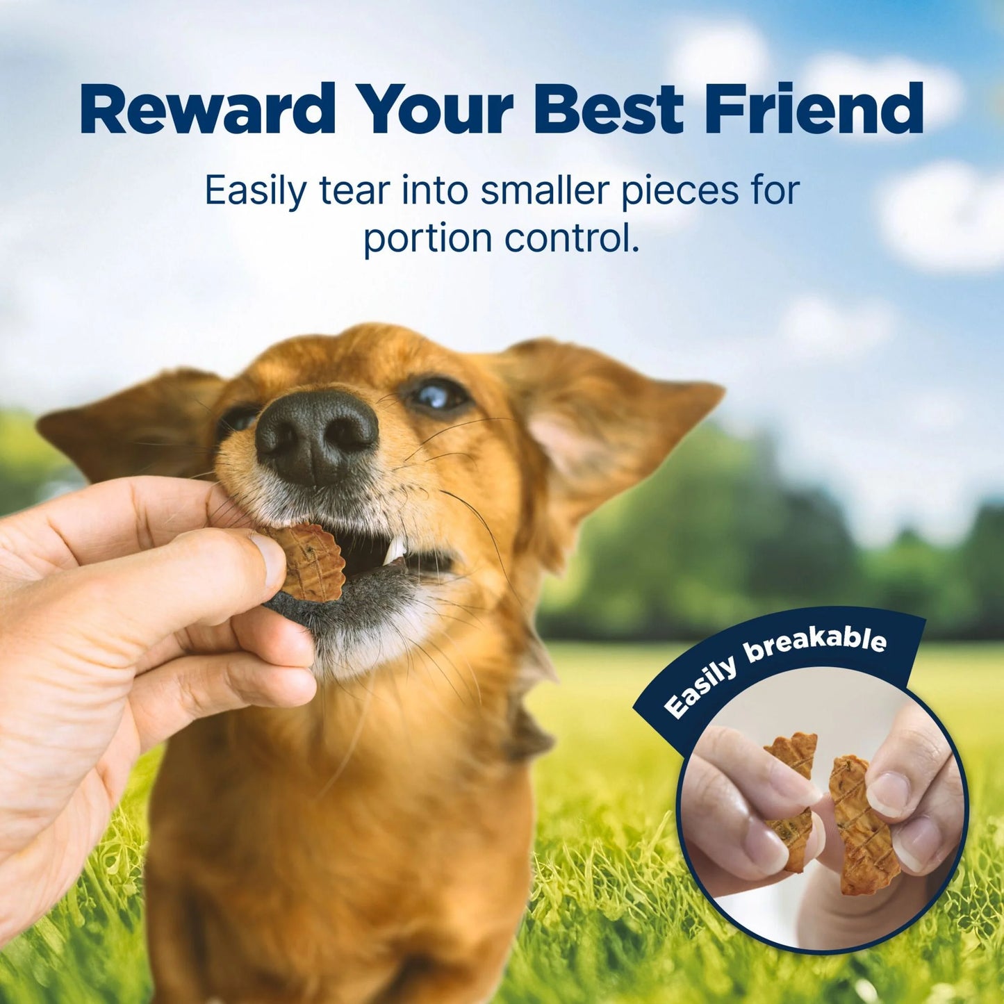 Nudges Homestyle Natural Dog Treats with Real Chicken - 16 Oz Bag of Deliciousness for Your Furry Friend!