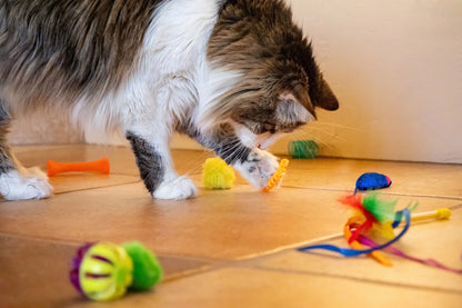 Ultimate 24-Piece Cat Toy Collection for Unmatched Feline Entertainment!