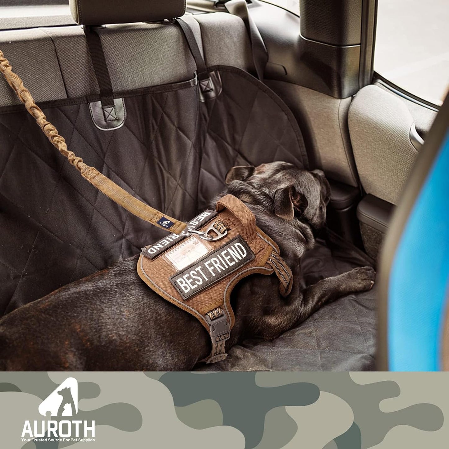 Heavy-Duty Bungee Dog Leash for Medium to Large Breeds, Shock Absorbing No-Pull Design with Car Seat Belt, Dual Padded Handles, Available in 4.5FT and 6FT Lengths