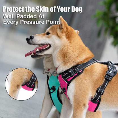 Reflective No-Pull Dog Harness - Adjustable Soft Padded Vest with Front and Back Leash Attachments and Control Handle for Small to Large Dogs (Mint Blue, Medium)