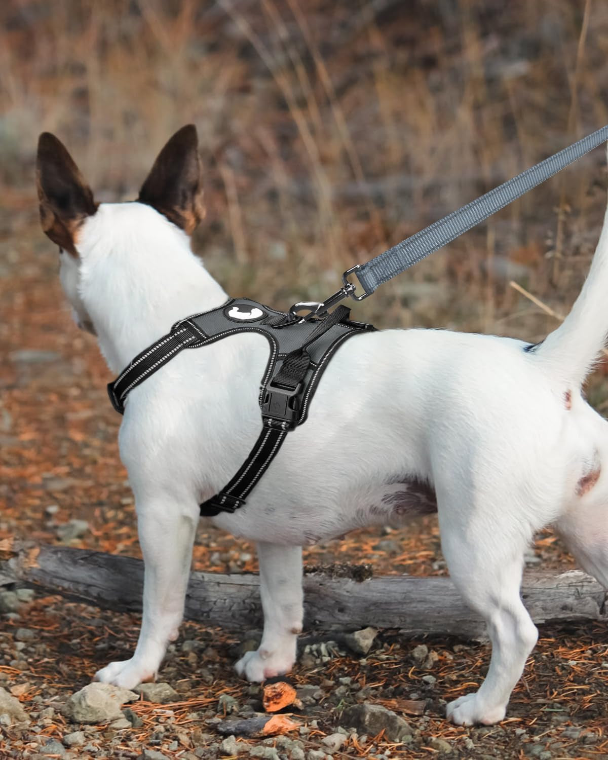 Reflective Double-Sided Dog Leash - 5FT Heavy Duty Nylon with Padded Handle for Small to Medium Dogs - Stylish Gray Design