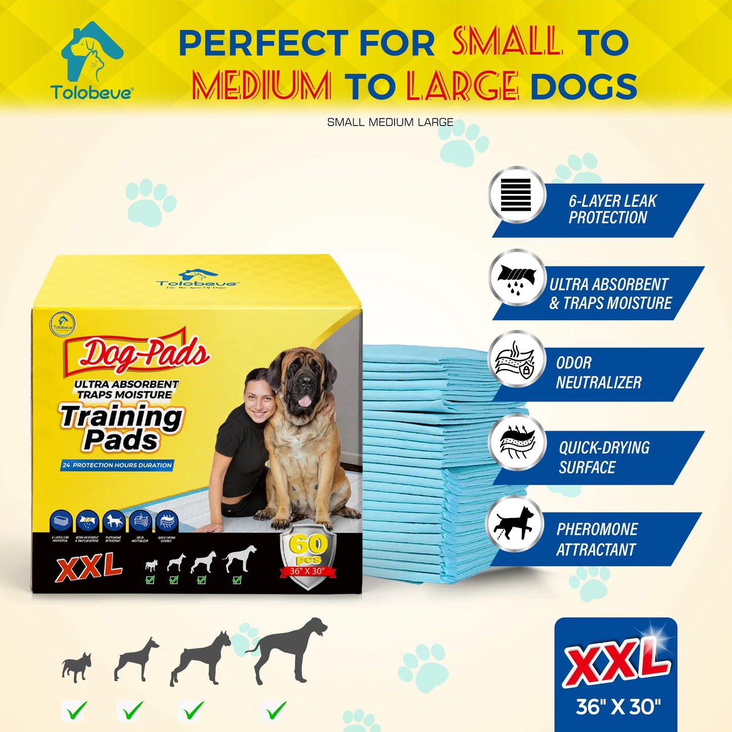 Dog Training Pads, XXL, 30 in X 36 In, 60 Count Disposable Dog Puppy Pee Pads