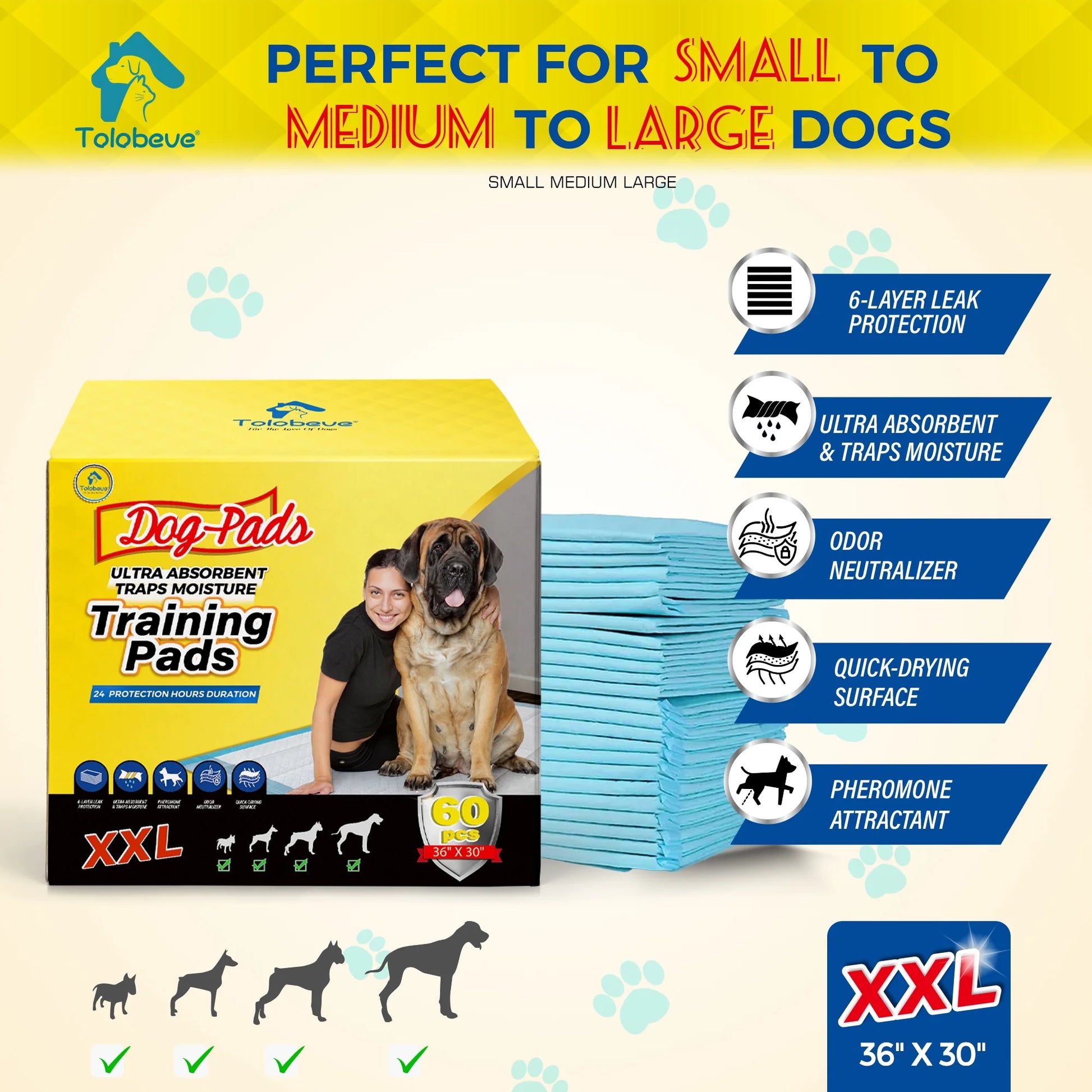 Dog Training Pads, XXL, 30 in X 36 In, 60 Count Disposable Dog Puppy Pee Pads