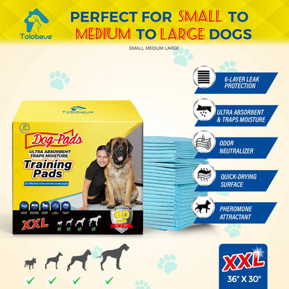 Dog Training Pads, XXL, 30 in X 36 In, 60 Count Disposable Dog Puppy Pee Pads