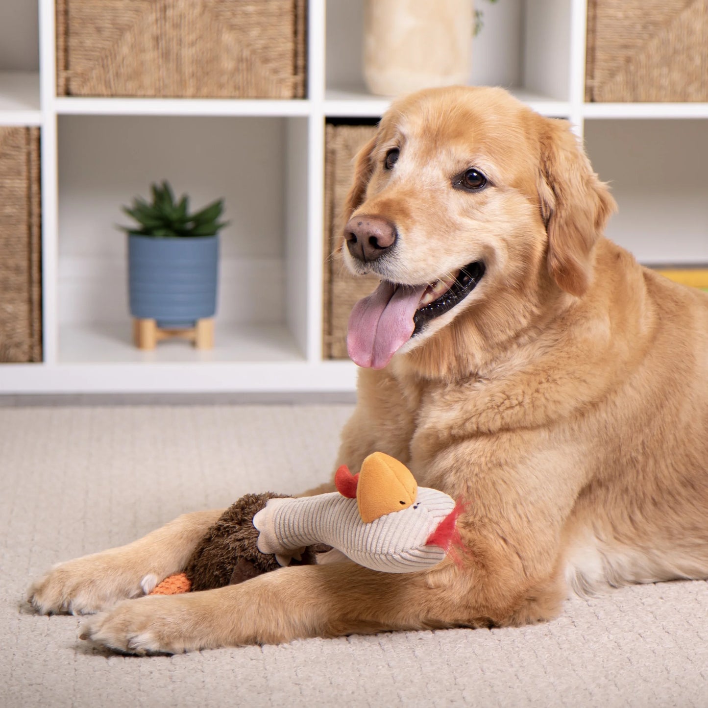 Tough 'N Fun Long Neck Rowdy Rooster Squeaky Chew Guard Dog Toy, Brown Large