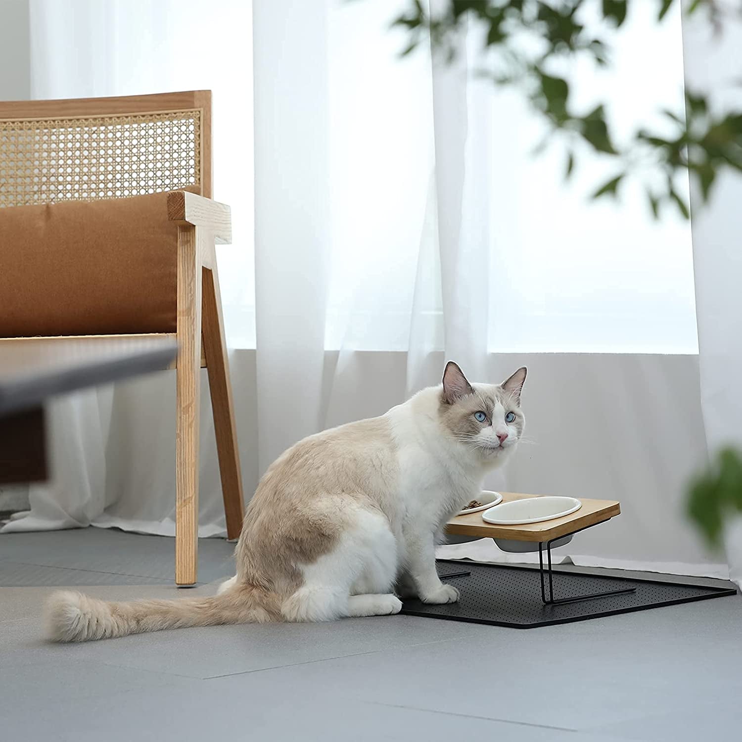 Elevated Tilted Ceramic Cat Bowls with Bamboo Stand - Perfect Feeder Set for Cats and Small Dogs