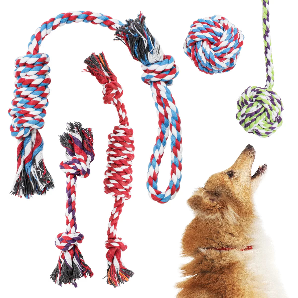 Pacific Pups 5-Pack Rope Dog Toys - Perfect for Small & Medium Dogs - Durable, Fun, and Safe!
