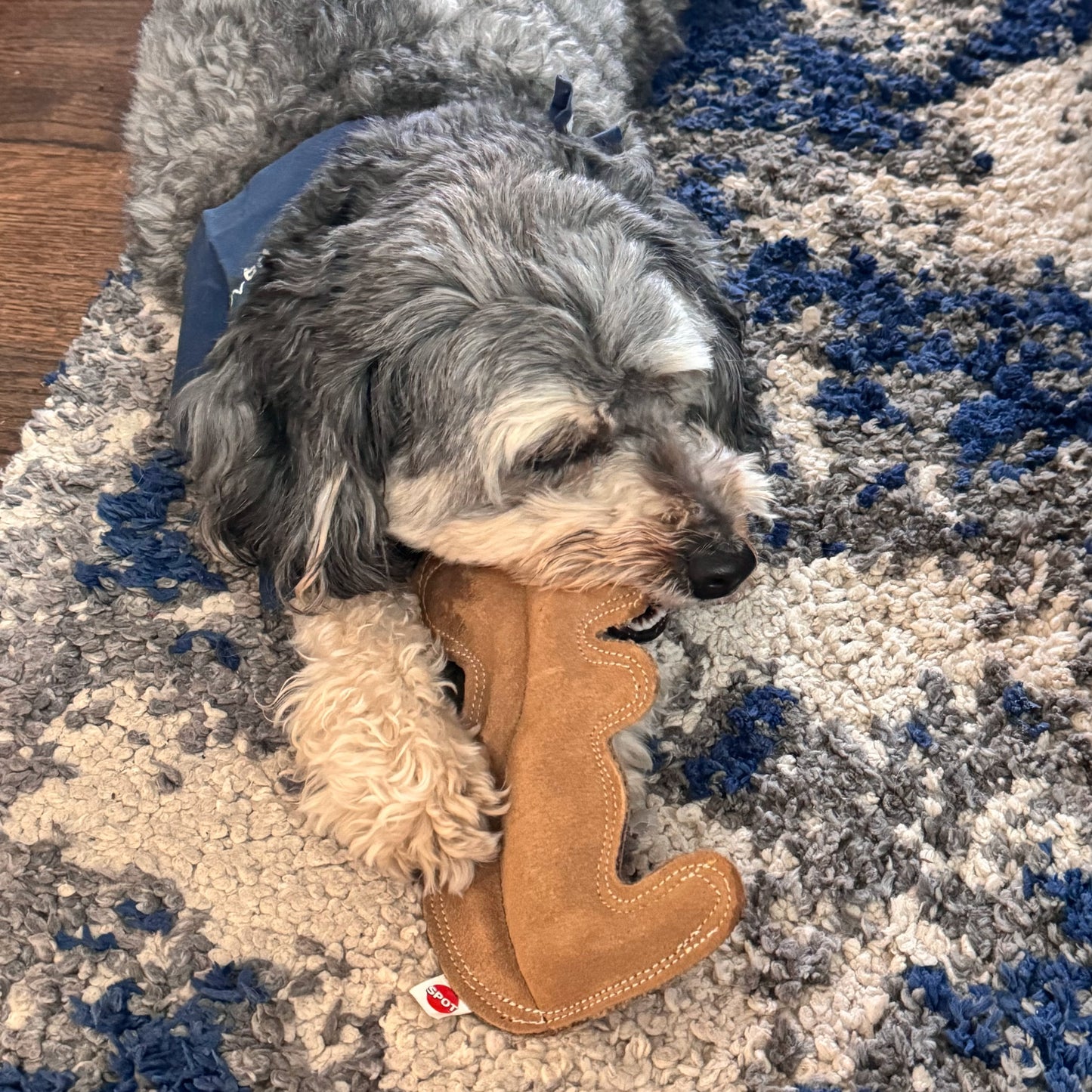 Dura-Fused Squirrel Dog Toy - Durable Leather & Jute Fabric for Small to Medium Chewers, Interactive Fun with Built-in Squeaker