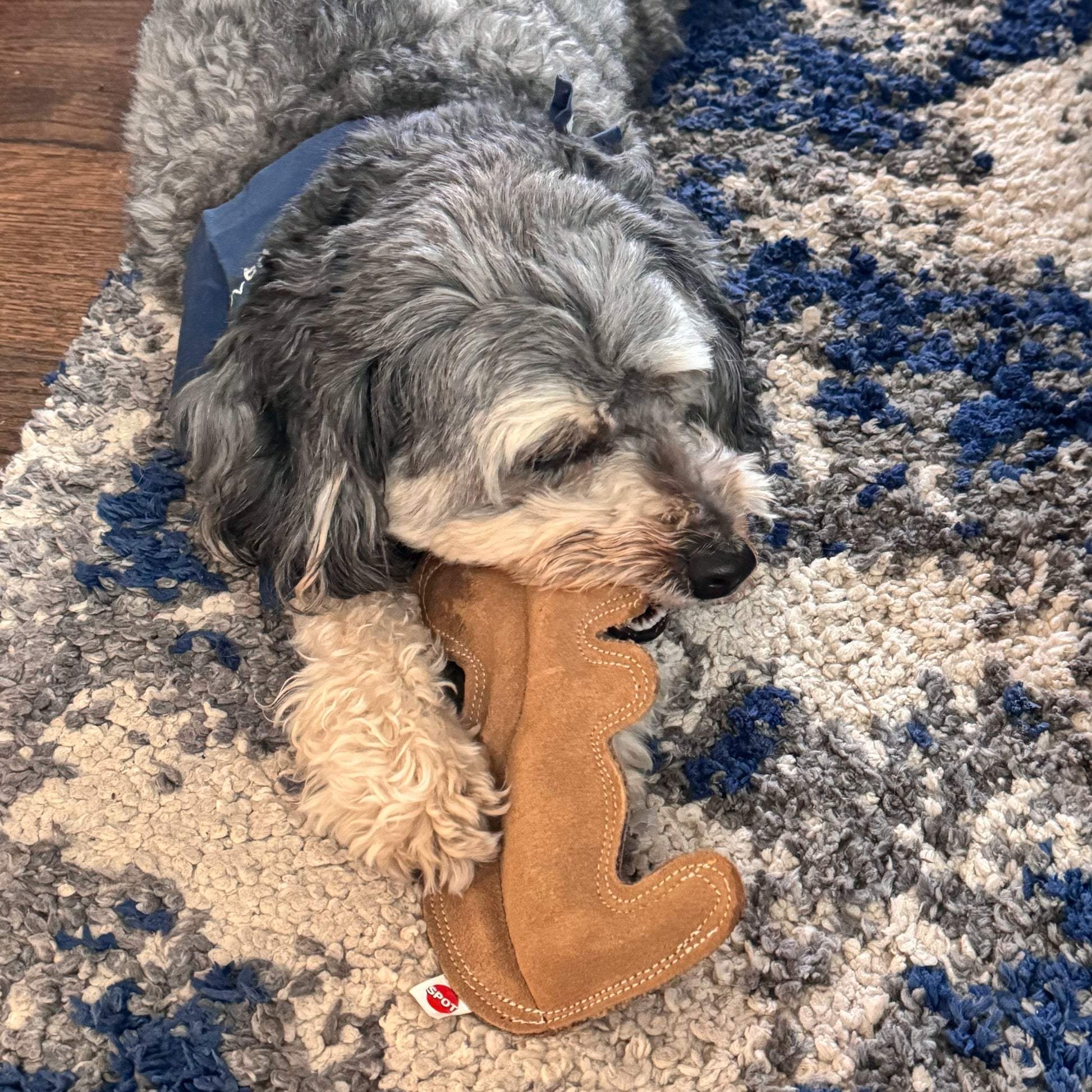 Dura-Fused Squirrel Dog Toy - Durable Leather & Jute Fabric for Small to Medium Chewers, Interactive Fun with Built-in Squeaker