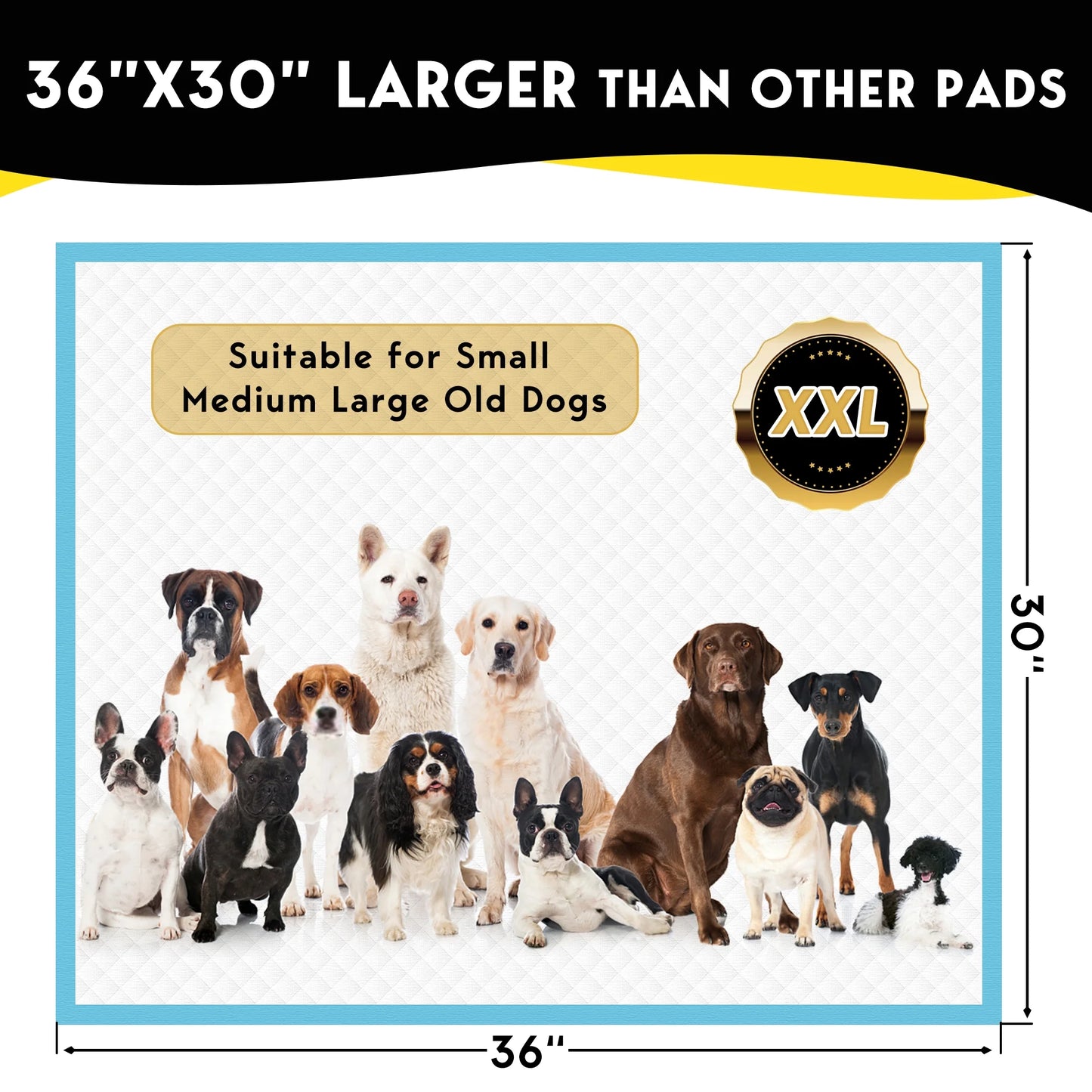 Dog Training Pads, XXL, 30 in X 36 In, 60 Count Disposable Dog Puppy Pee Pads