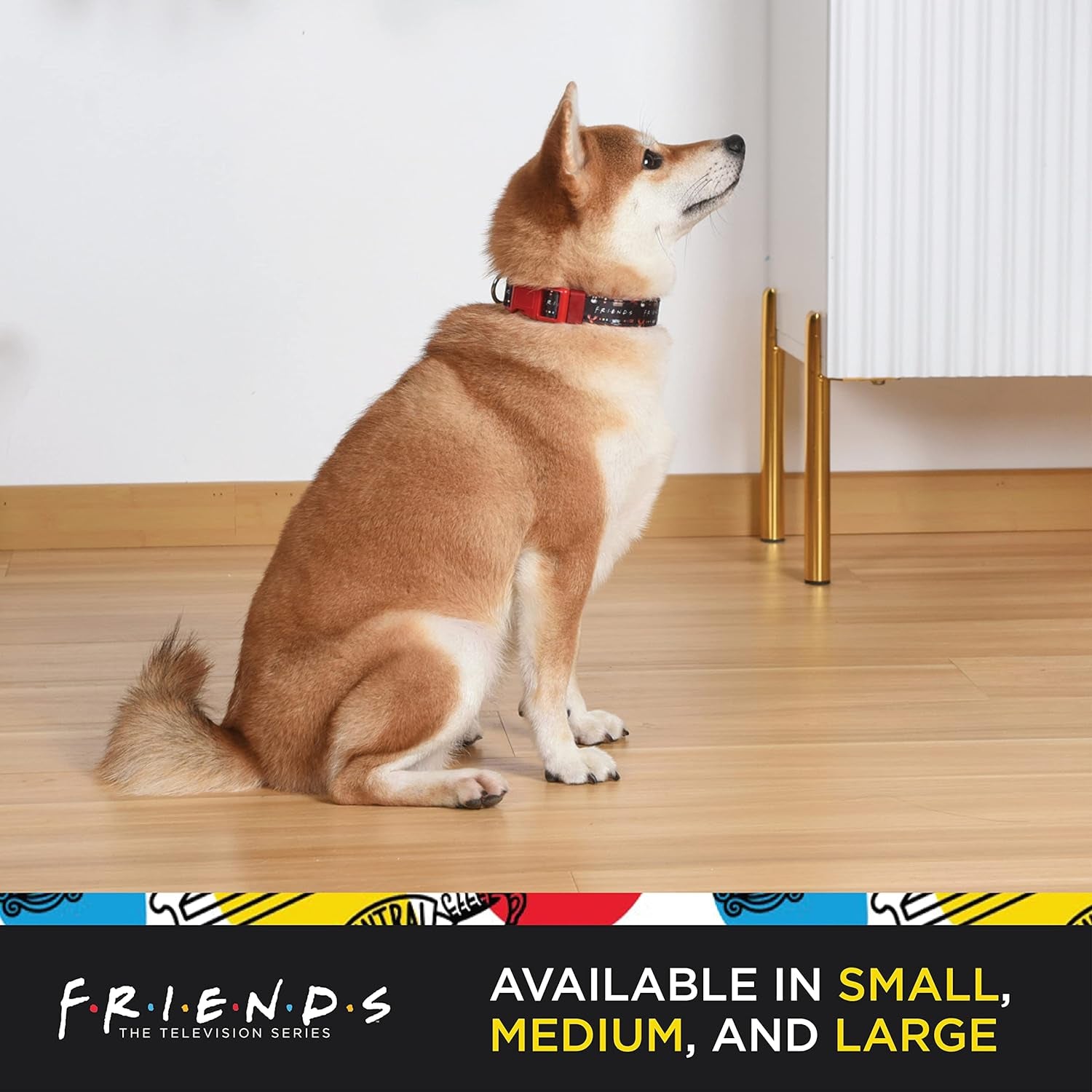 Friends Merchandise: Premium Dog Collar for Medium Dogs, Black with D-Ring