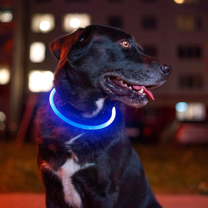 USB Rechargeable LED Dog Collar - Illuminated Safety Necklace for Small, Medium, and Large Dogs (Blue)