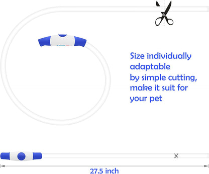 USB Rechargeable LED Dog Collar - Illuminated Safety Necklace for Small, Medium, and Large Dogs (Blue)