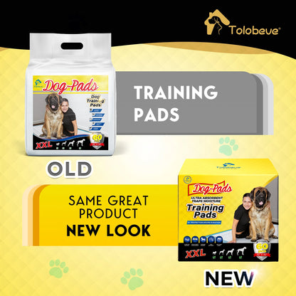 Dog Training Pads, XXL, 30 in X 36 In, 60 Count Disposable Dog Puppy Pee Pads