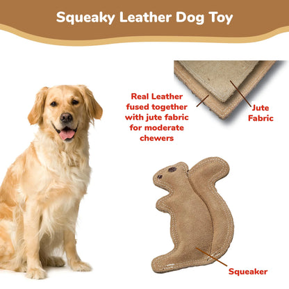 Dura-Fused Squirrel Dog Toy - Durable Leather & Jute Fabric for Small to Medium Chewers, Interactive Fun with Built-in Squeaker