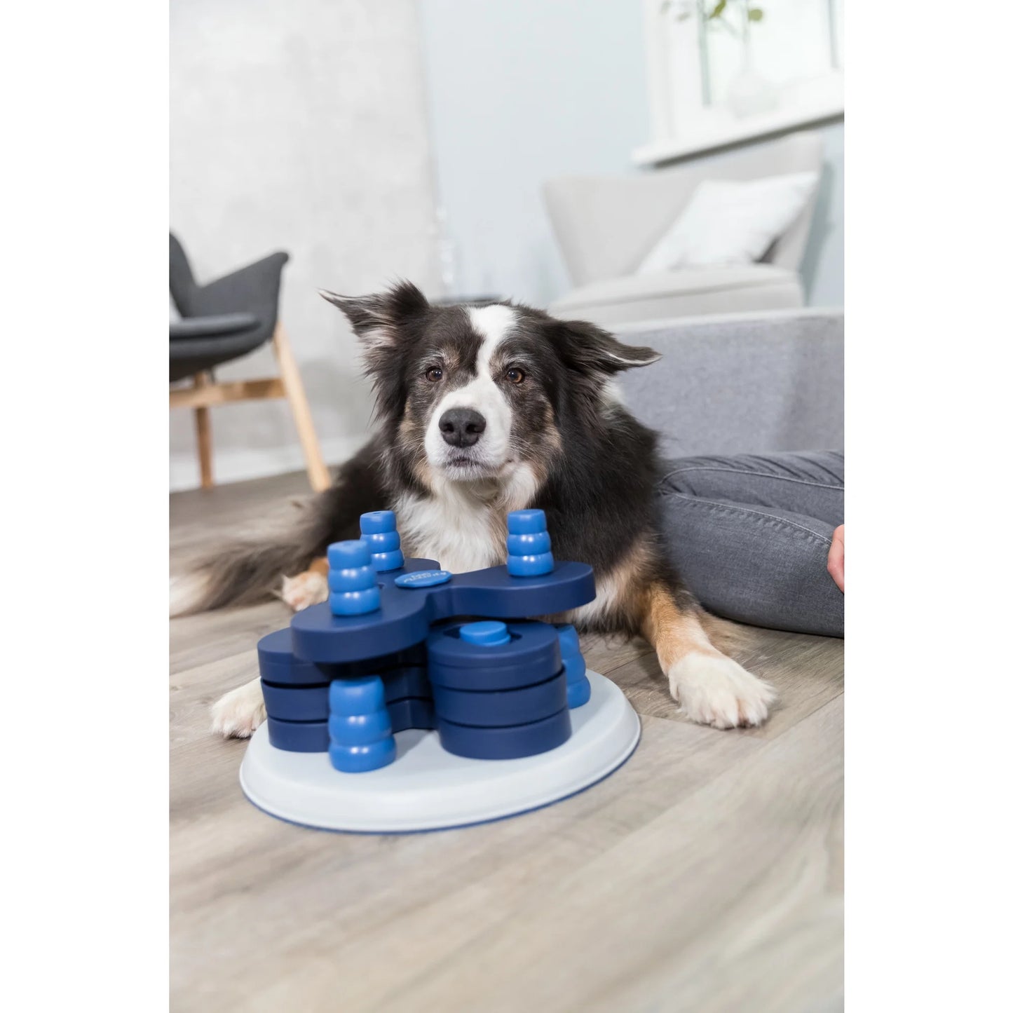 Advanced Dog Puzzle Toy - Level 3 Flower Strategy Game & Treat Dispenser for Engaging Play