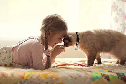 Stylish 2-Piece Adjustable Breakaway Cat Collars with Glow-in-the-Dark Moons and Stars - Perfect for Your Feline Friend!