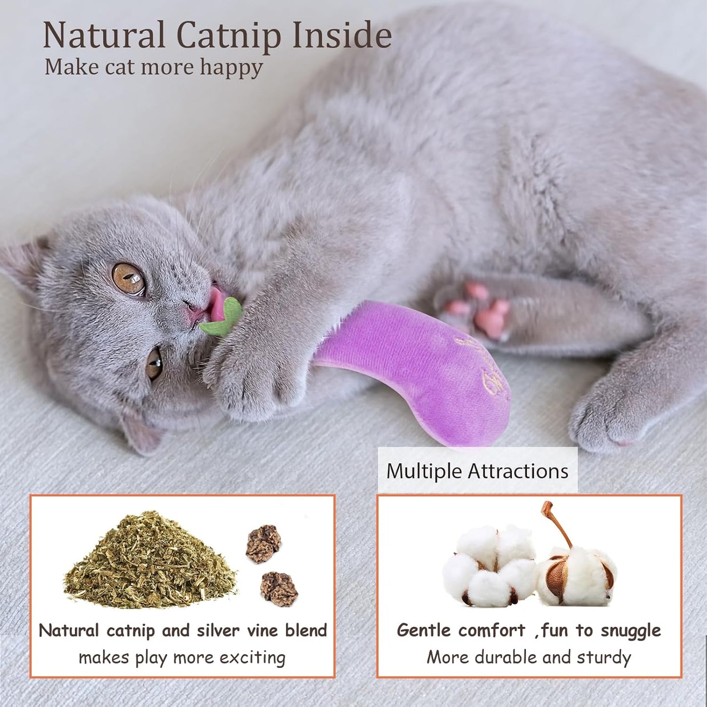 Interactive Plush Catnip Toys for Kittens - 5 Pack Fun Vegetable Shapes for Dental Care and Playtime