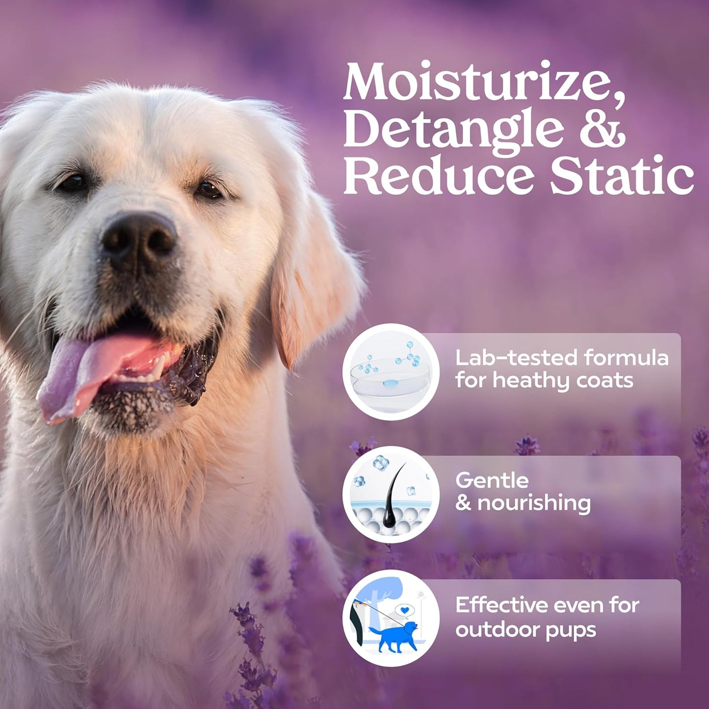 PAWFUME Royal Lavender Dog Detangler Grooming Spray, 1-Pack – Hypoallergenic, Alcohol-Free Formula for Moisturizing and Detangling – Salon-Quality Coat Care for Dogs