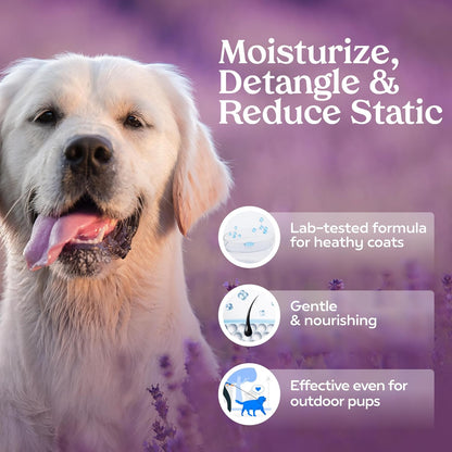 PAWFUME Royal Lavender Dog Detangler Grooming Spray, 1-Pack – Hypoallergenic, Alcohol-Free Formula for Moisturizing and Detangling – Salon-Quality Coat Care for Dogs