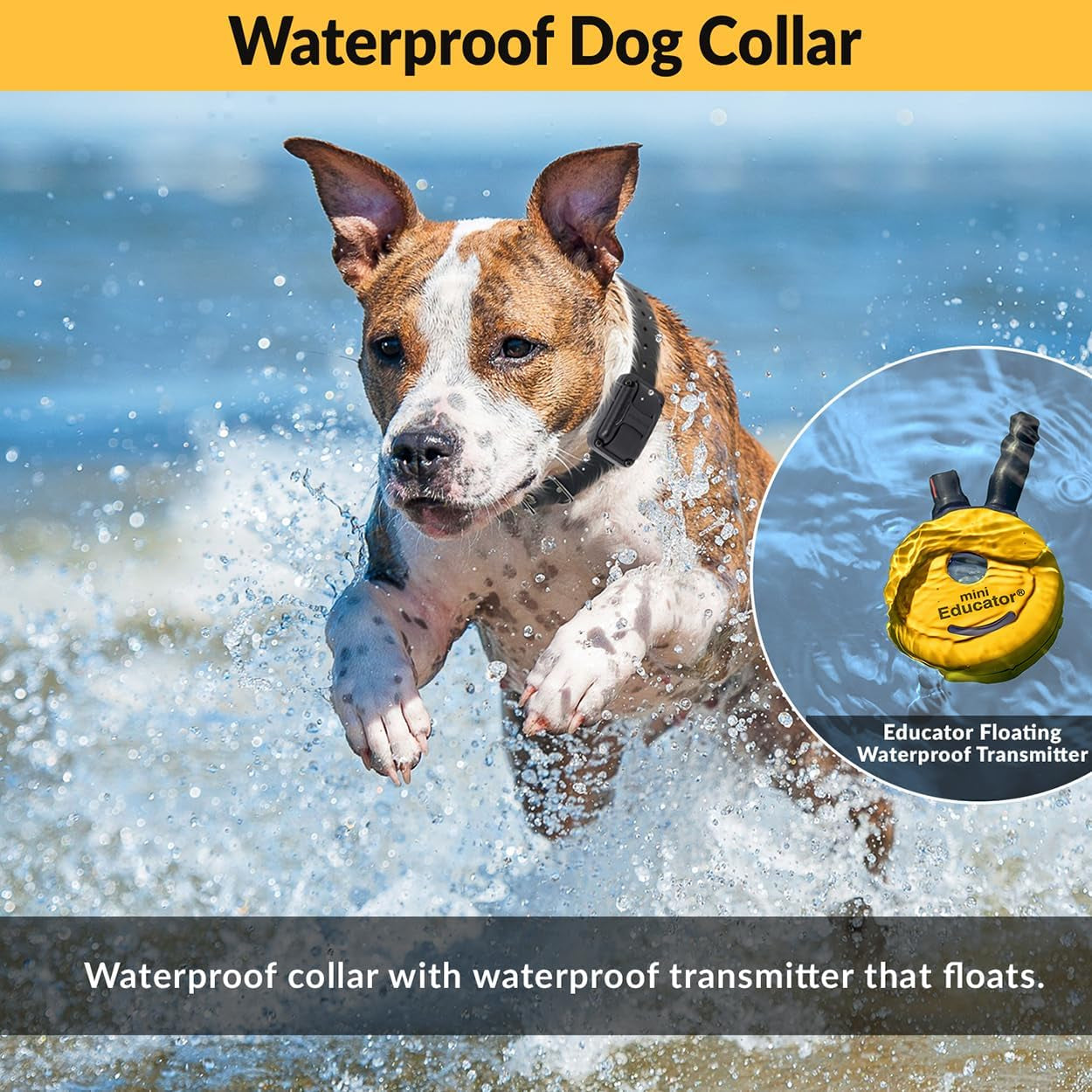1/2 Mile Remote Dog Training System plus E-Collar 101 Training DVD, Safe Humane Stimulation, Pavlovian Tone, Waterproof, Odorproof Biothane Collar, Night Light, Rechargeable, 1 Dog, Yellow