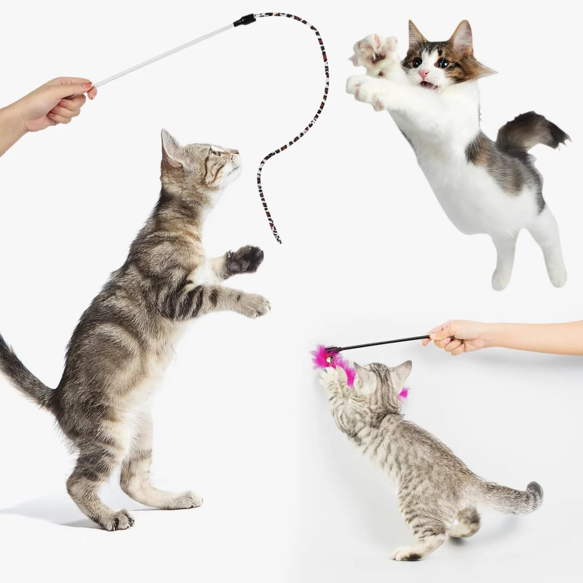 Ultimate 32-Piece Cat Toy Set with Rainbow Tunnel, Feather Teasers, Crinkle Balls & Spring Toys for Endless Fun!