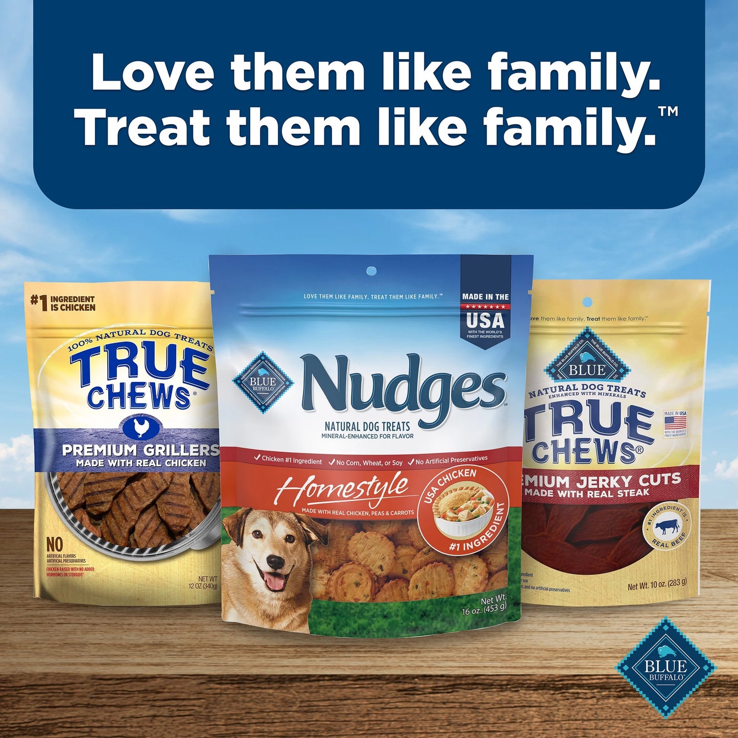Nudges Homestyle Natural Dog Treats with Real Chicken - 16 Oz Bag of Deliciousness for Your Furry Friend!