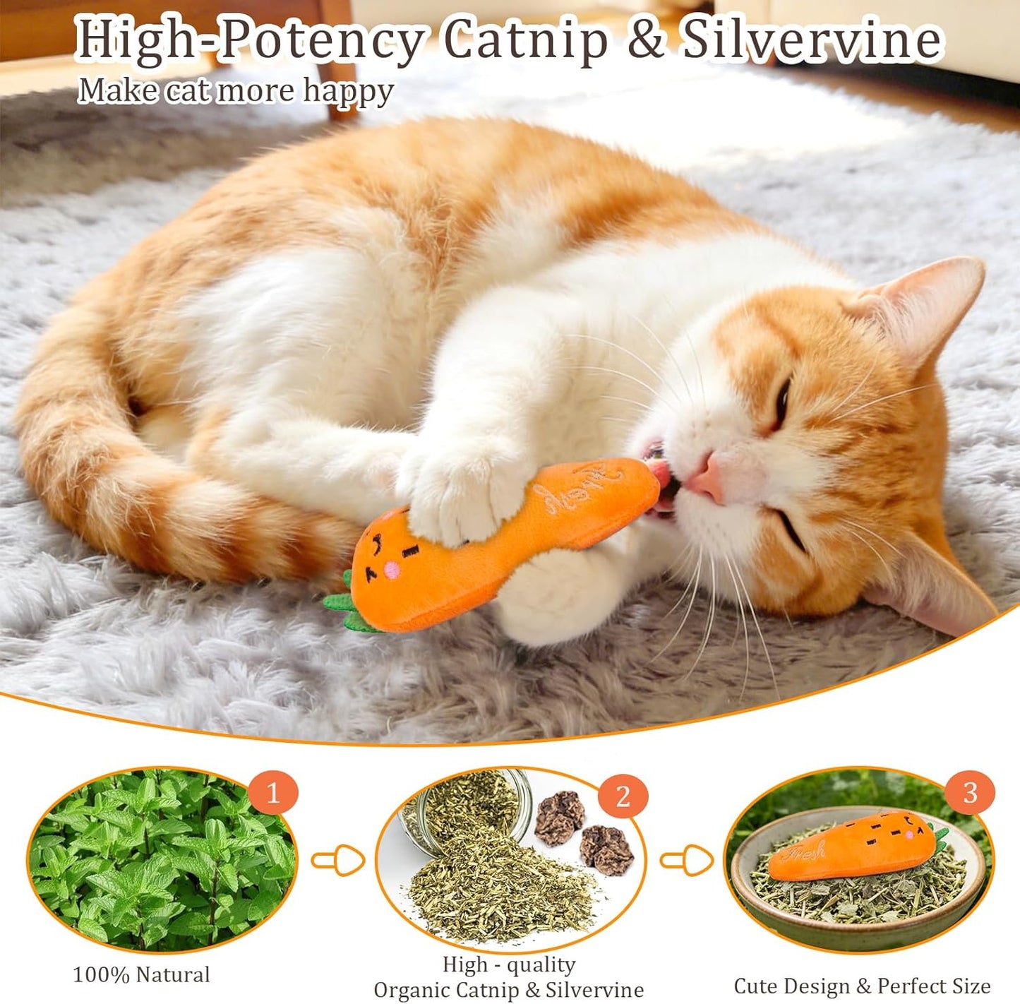 Interactive Plush Catnip Toys for Kittens - 5 Pack Fun Vegetable Shapes for Dental Care and Playtime