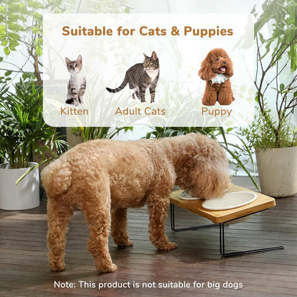 Elevated Tilted Ceramic Cat Bowls with Bamboo Stand - Perfect Feeder Set for Cats and Small Dogs