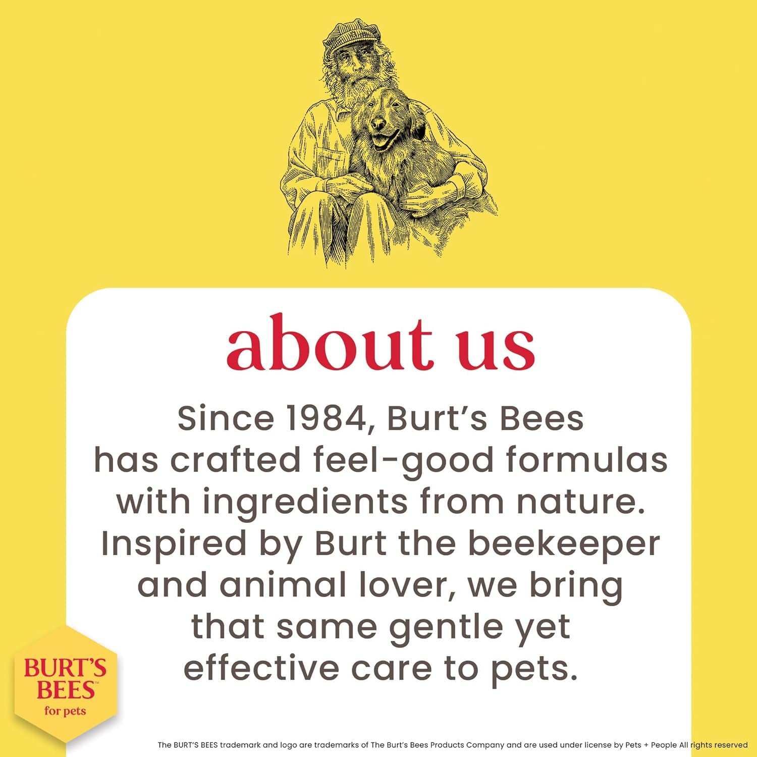 Hypoallergenic Cat Shampoo with Shea Butter and Honey, Gentle Kitten Shampoo for Indoor Cats with Dry or Sensitive Skin, Cat Bathing Supplies, 10 Fl Oz - 2 Pack