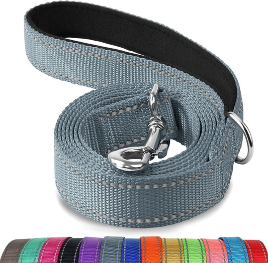 Reflective Double-Sided Dog Leash - 5FT Heavy Duty Nylon with Padded Handle for Small to Medium Dogs - Stylish Gray Design