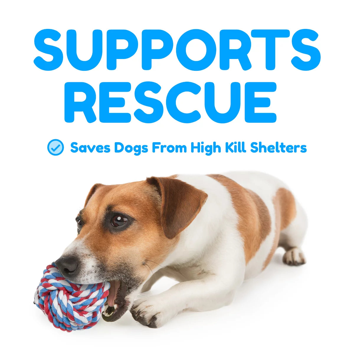 Pacific Pups 5-Pack Rope Dog Toys - Perfect for Small & Medium Dogs - Durable, Fun, and Safe!