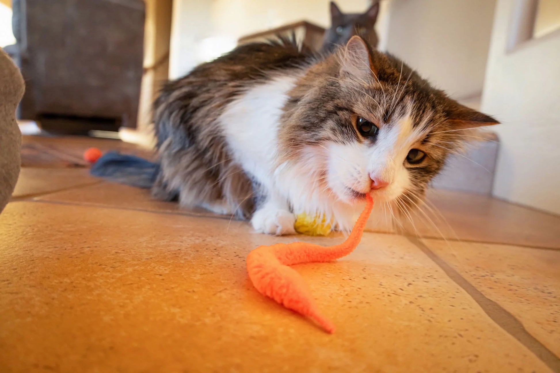 Ultimate 24-Piece Cat Toy Collection for Unmatched Feline Entertainment!
