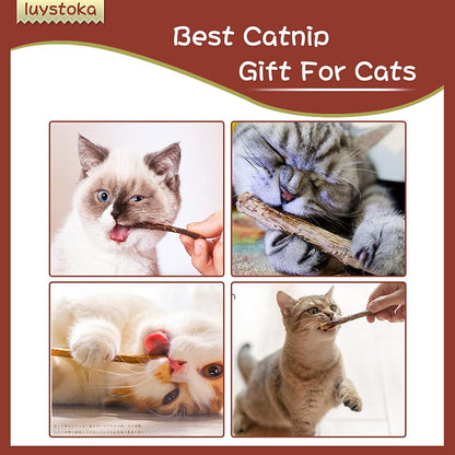 Ultimate Silvervine & Matatabi Catnip Toy Set - 10 Engaging Chew Sticks & Wand Toys for Happy, Healthy Cats!