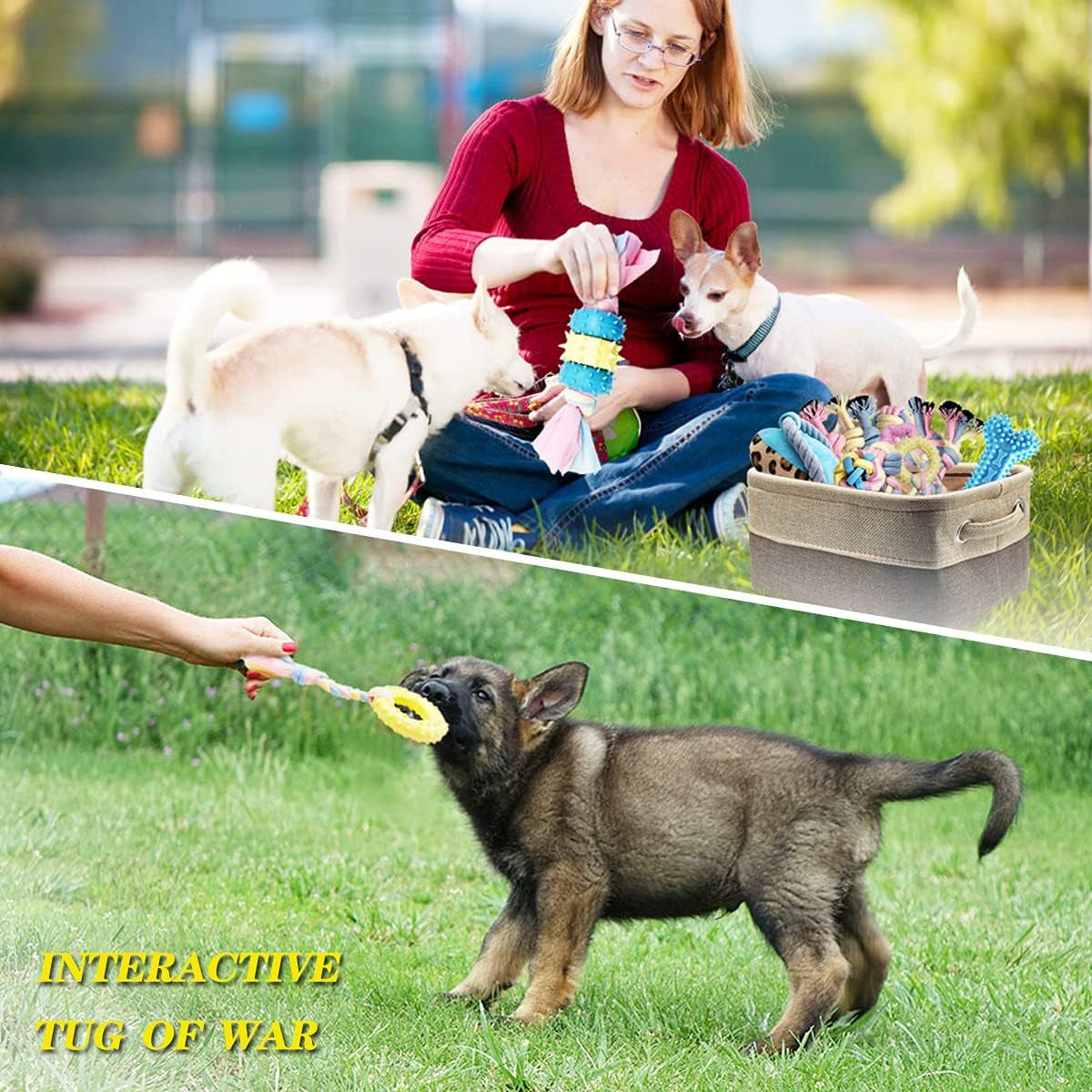 Ultimate Teething Puppy Chew Toys Set for Dental Health & Interactive Fun - Includes Storage Basket!