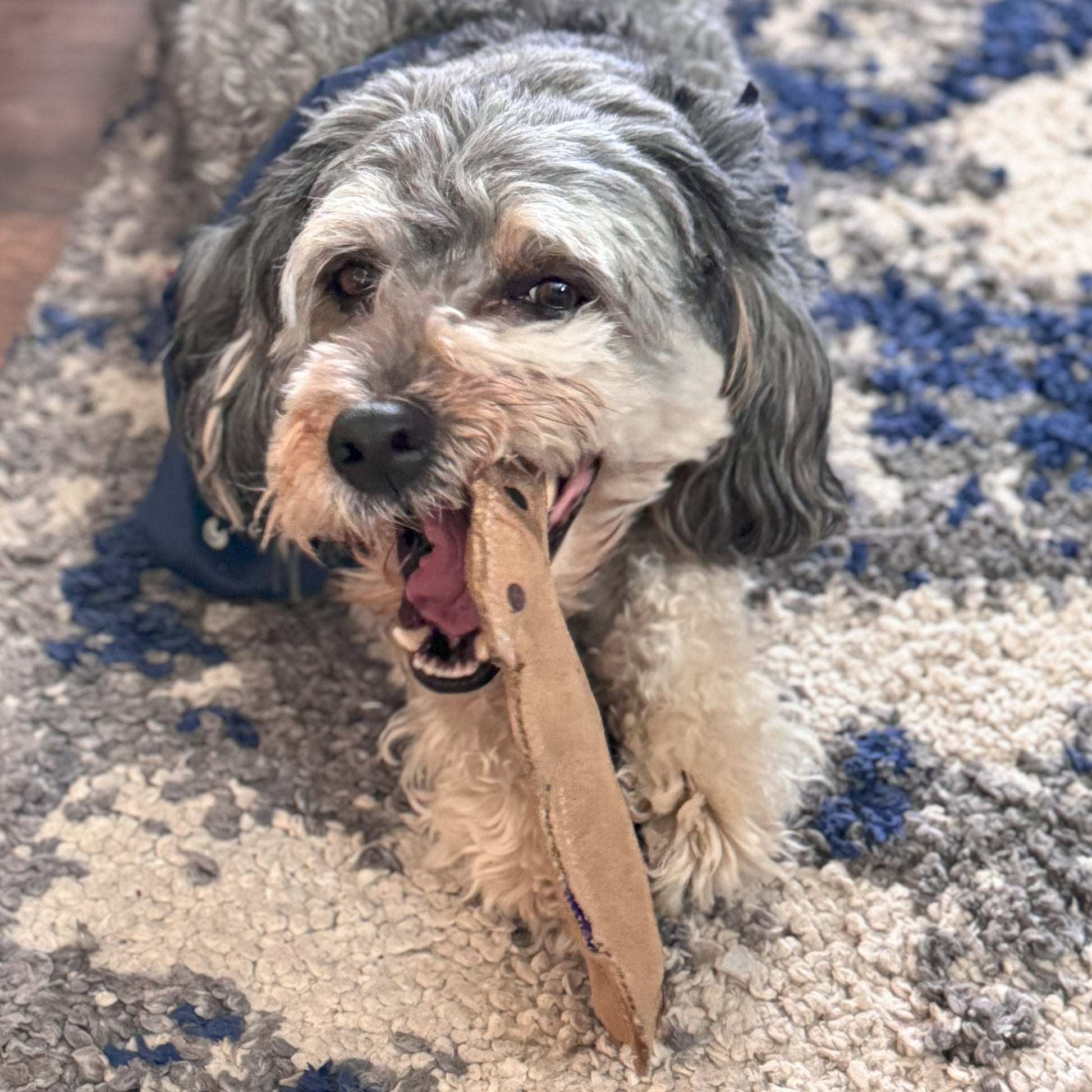 Dura-Fused Squirrel Dog Toy - Durable Leather & Jute Fabric for Small to Medium Chewers, Interactive Fun with Built-in Squeaker
