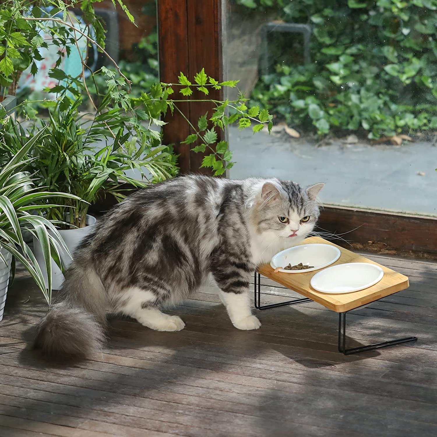 Elevated Tilted Ceramic Cat Bowls with Bamboo Stand - Perfect Feeder Set for Cats and Small Dogs