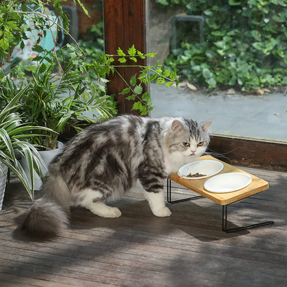 Elevated Tilted Ceramic Cat Bowls with Bamboo Stand - Perfect Feeder Set for Cats and Small Dogs