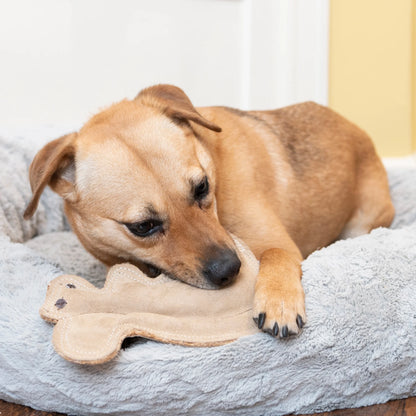 Dura-Fused Squirrel Dog Toy - Durable Leather & Jute Fabric for Small to Medium Chewers, Interactive Fun with Built-in Squeaker